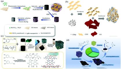 二維材料基氣凝膠的合成、功能調控及其在環境檢測和修復領域的應用-納孚生物