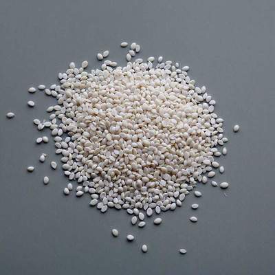 科技領域率先發(fā)力?生物基材料為何成為重中之重