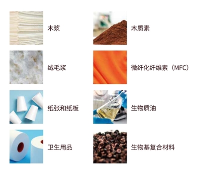 書贊桉諾堅持產(chǎn)品創(chuàng)新:助力低碳經(jīng)濟(jì)的蓬勃發(fā)展與戰(zhàn)略轉(zhuǎn)型