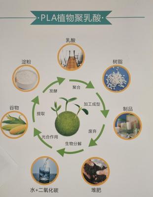 PP+小麥秸稈料 餐具專用料 食品級生物基復(fù)合材料