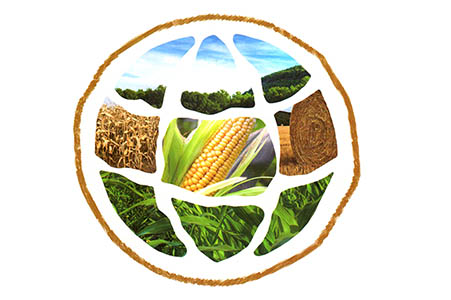 生物基材料聚乳酸pla將是助力綠色環保的未來之鑰